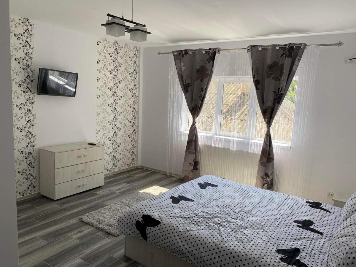 Dana Studio Tulcea Exterior foto
